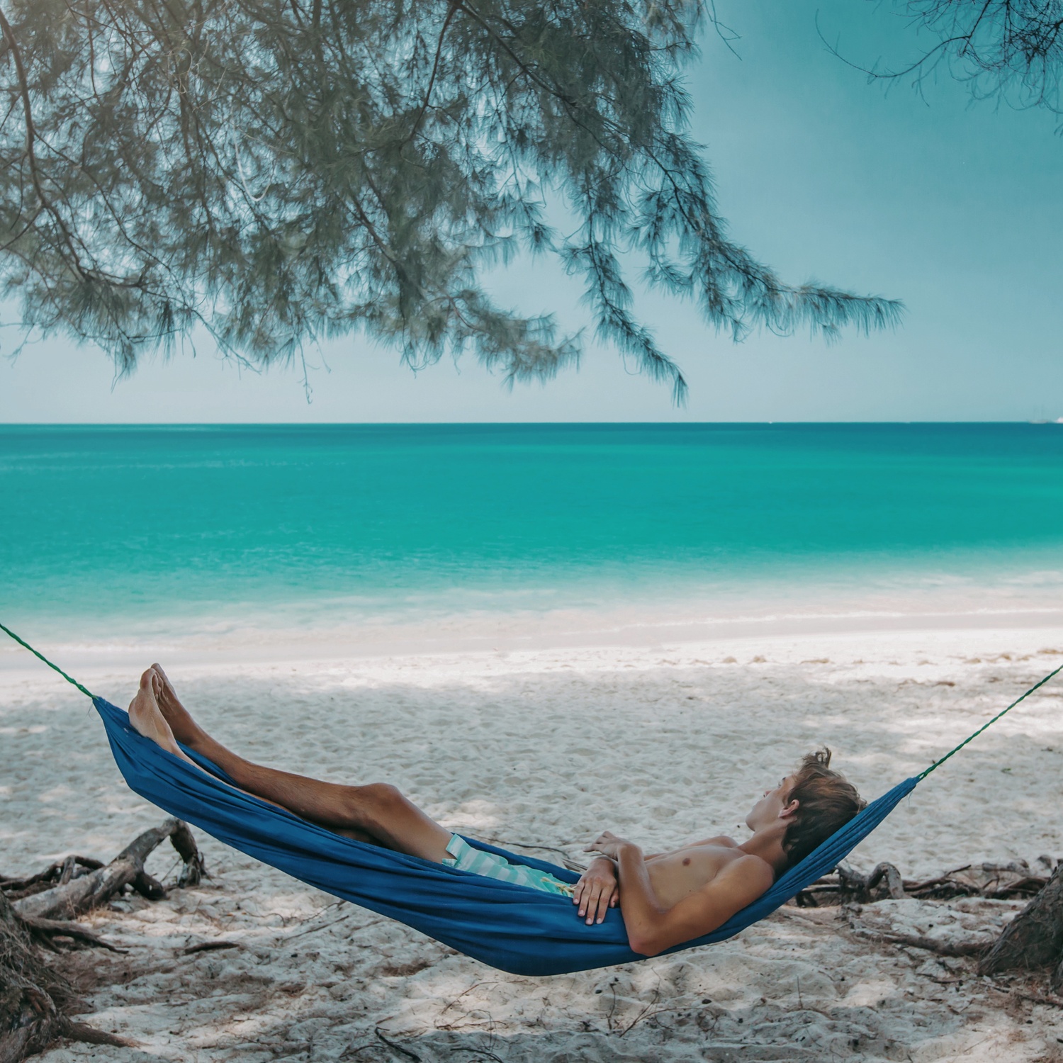 Sea, Sand and Safari